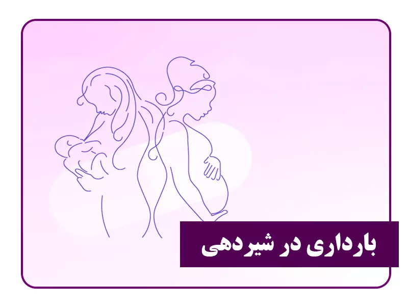 بارداری در شیردهی