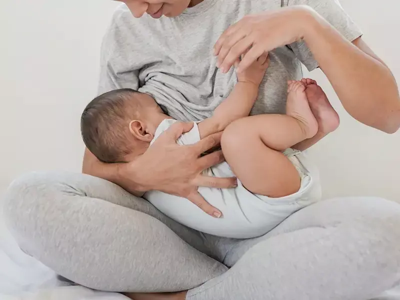 بارداری در شیردهی و مسائل مربوط به آن